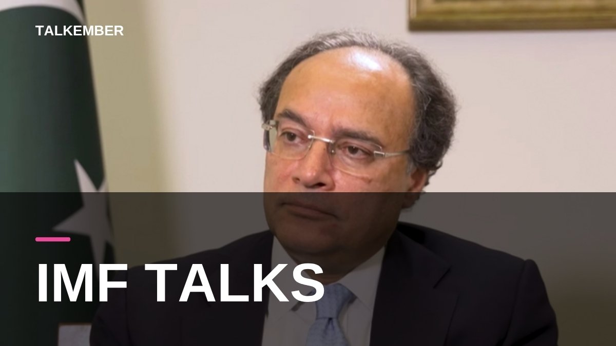 Finance Minister Muhammad Aurangzeb during a 2024 interview, Pakistan flag behind him (file photo, 2024)